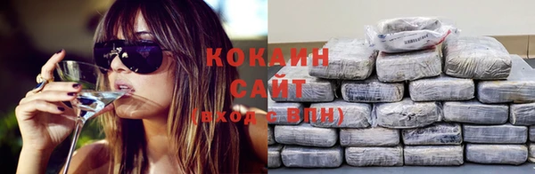 шишки Вязьма
