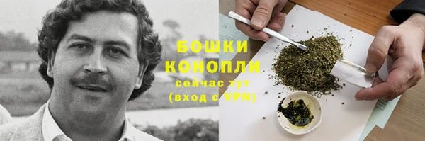дживик Вяземский