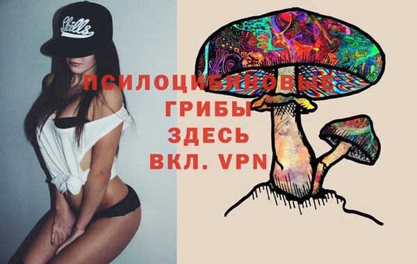 дживик Вяземский