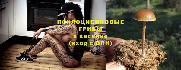 шишки Вязьма