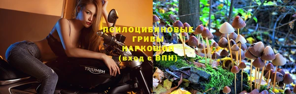 а пвп мука Вязники