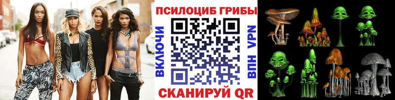 OMG как зайти  Егорьевск  Галлюциногенные грибы ЛСД  наркота 