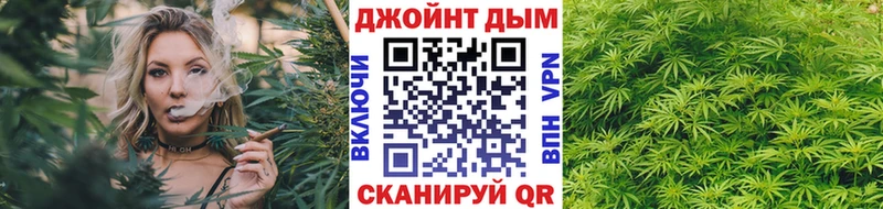 где купить наркотик  Егорьевск  Конопля ГИДРОПОН 
